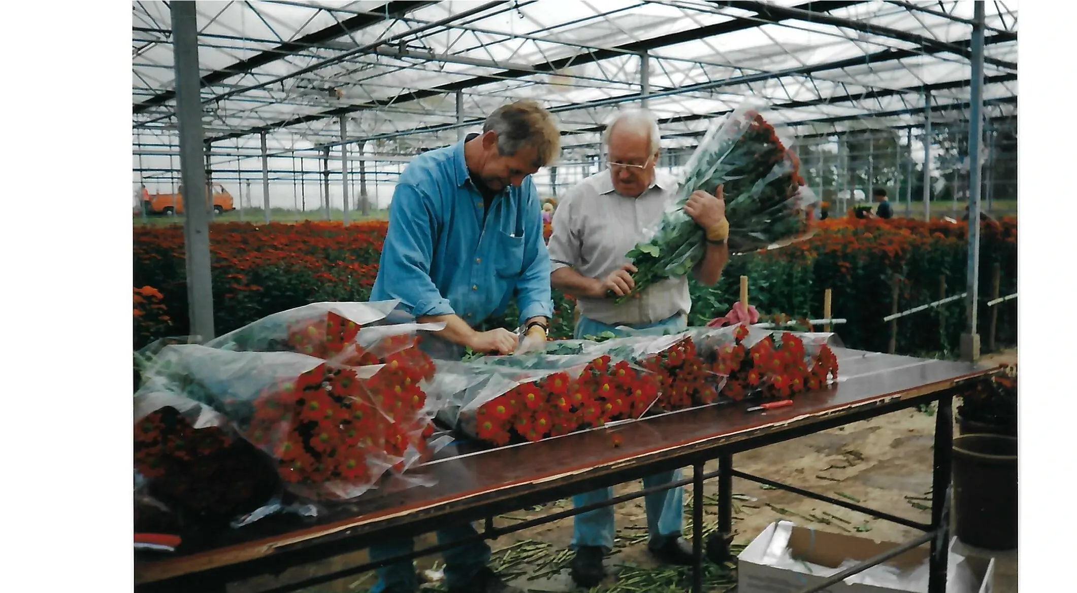 Gärtnerei Historie Gründung 1952
