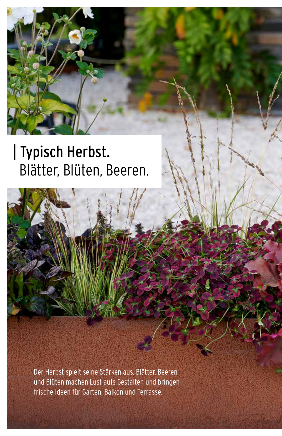 Herbstangebote Titelblatt