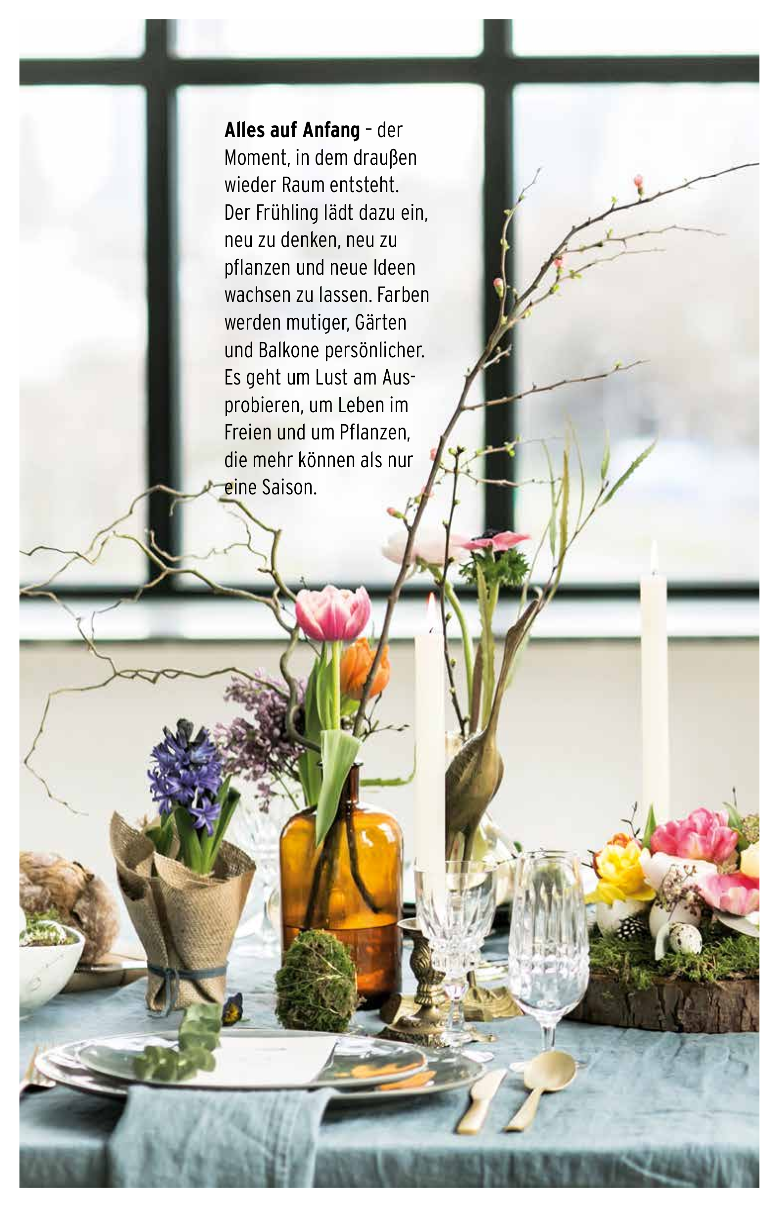 Pflanzenratgeber Titelblatt