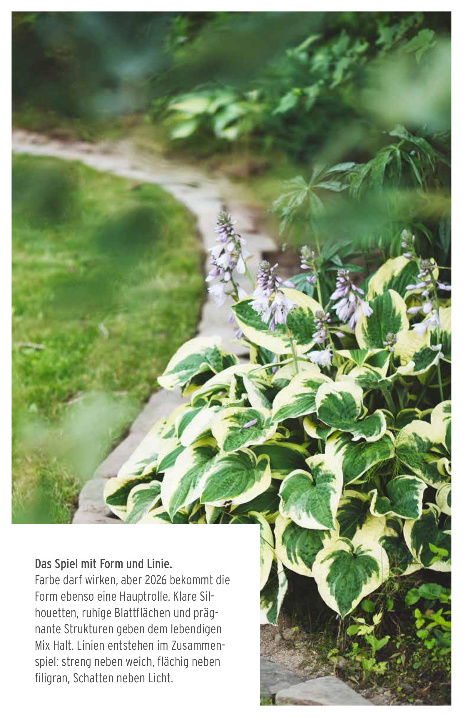 Das Spiel mit Form & Linien