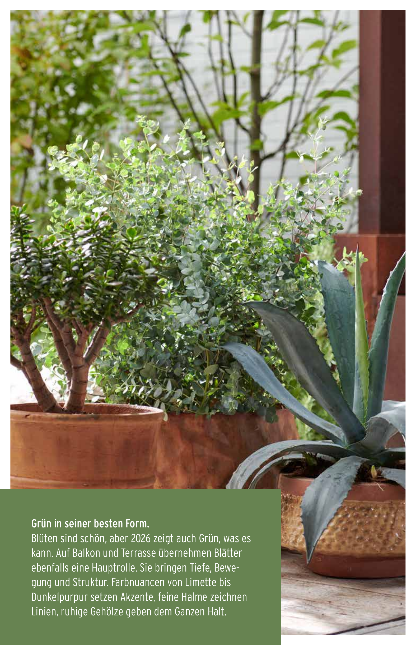 Grün in seiner besten Form