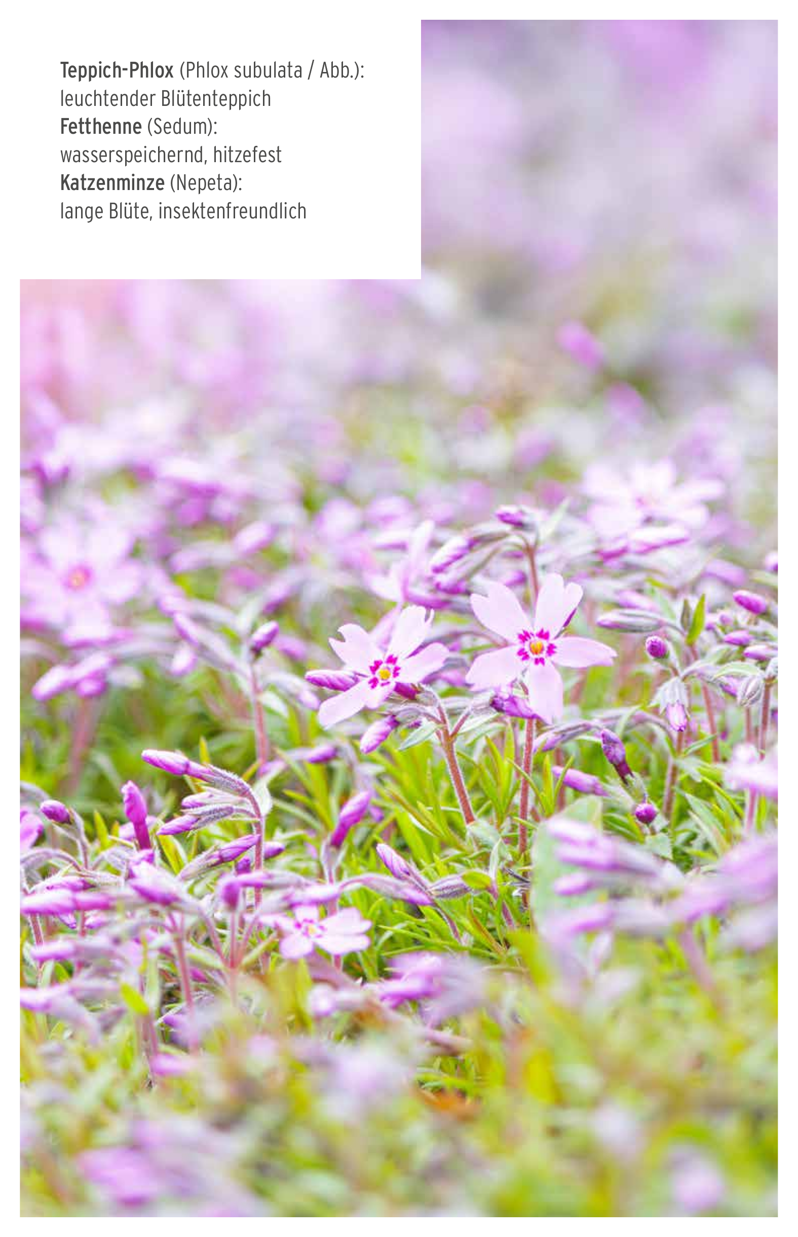 Nachhaltig gärtnern