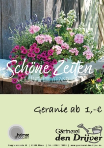 Hier kommt der Herbst